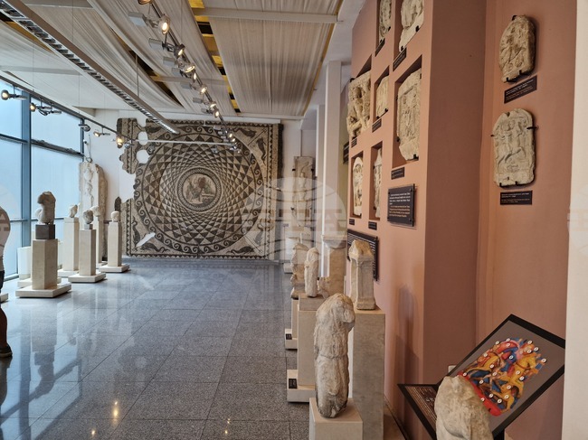 Регионалният археологически музей в Пловдив обяви безплатен вход за пенсионери 