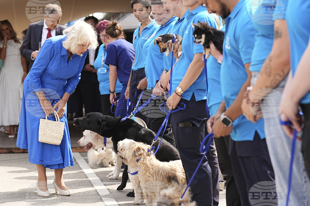 Britain Royals