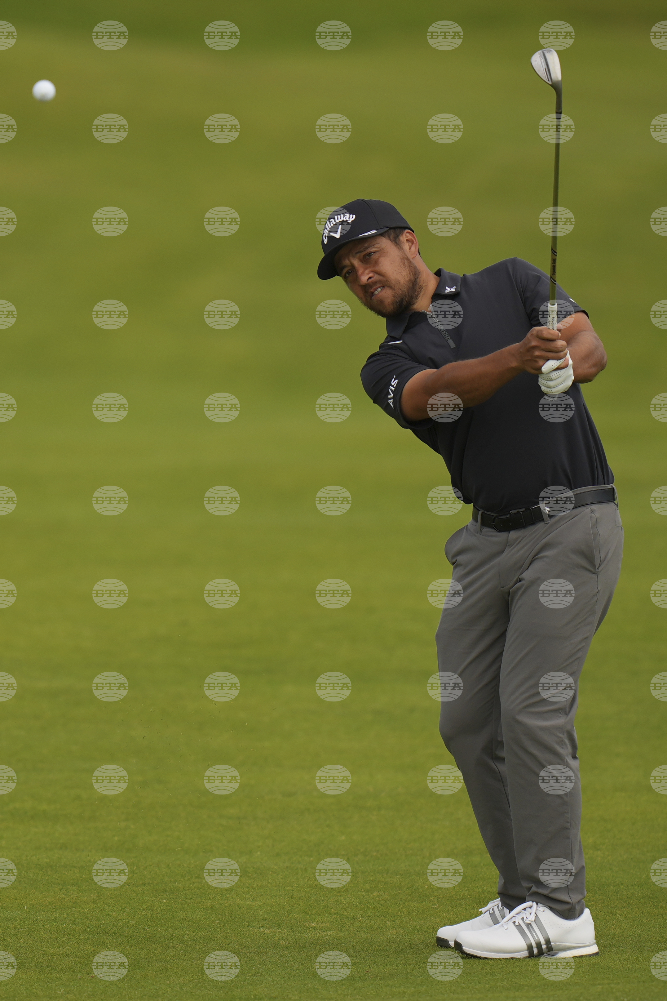 British Open Golf