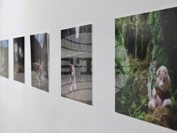 Галерия ONE - изложба - магистърска програма "Фотография"