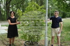 Банкя - парк „Държавното“ - парковo пространство за арттерапия