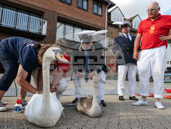 Britain Swan Upping