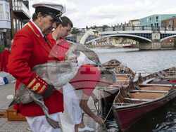 Britain Swan Upping