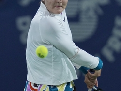 Dubai Tennis Championships