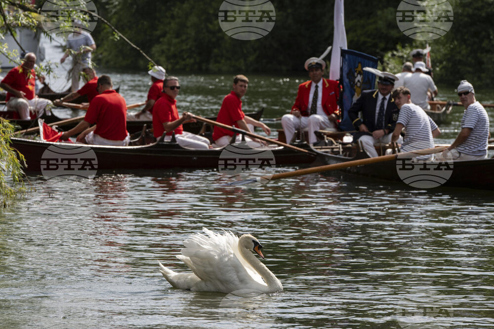 APTOPIX Britain Swan Upping