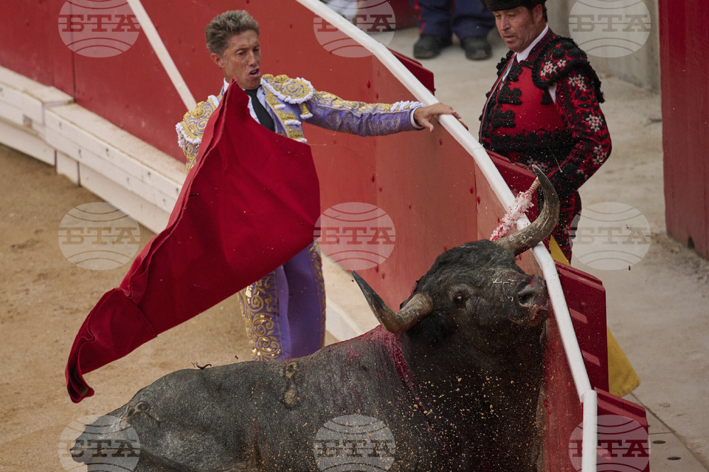 Spain Running of the Bulls