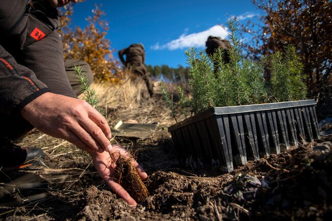 Община Стара Загора спечели конкурс на Нестле България с проект за залесяване на 65 дка от опожарените терени в местността „Седми километър“