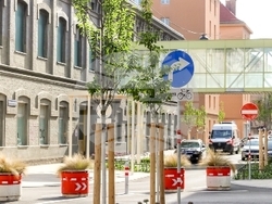 Виена полага специални грижи за младите дървета в борбата с климатичните промени