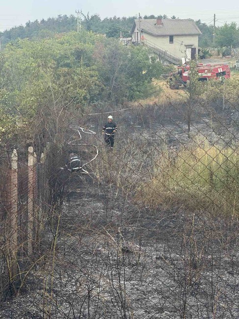 Вила и лозя изгоряха в пожар край Харманли