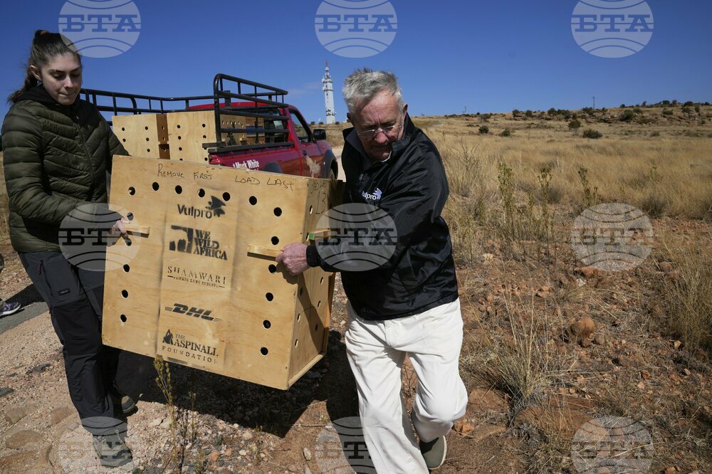 South Africa Vulture Release
