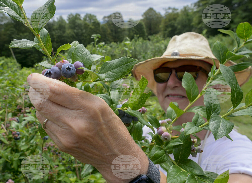 Vermont Daily Life