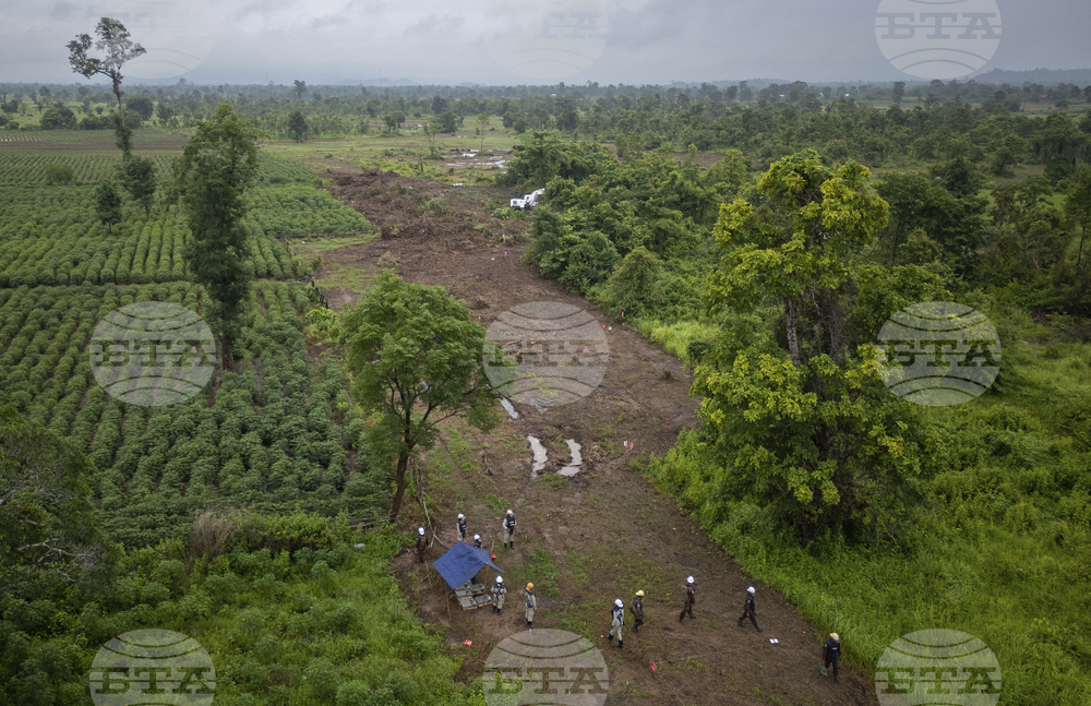 Cambodia Demining Rats Photo Gallery