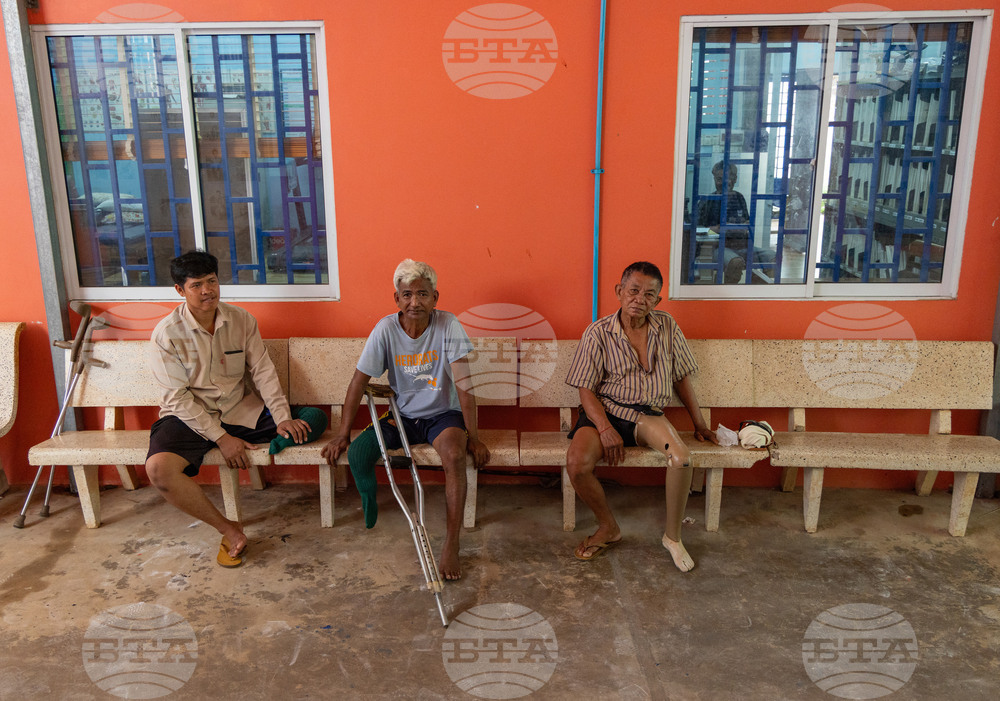 Cambodia Demining Rats Photo Gallery