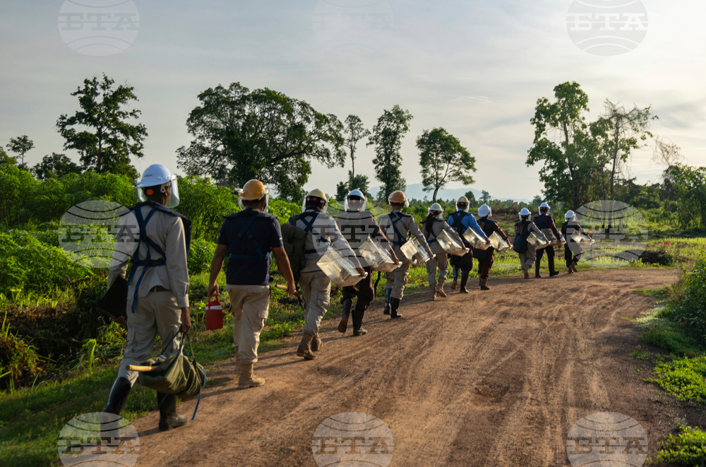 Cambodia Demining Rats Photo Gallery