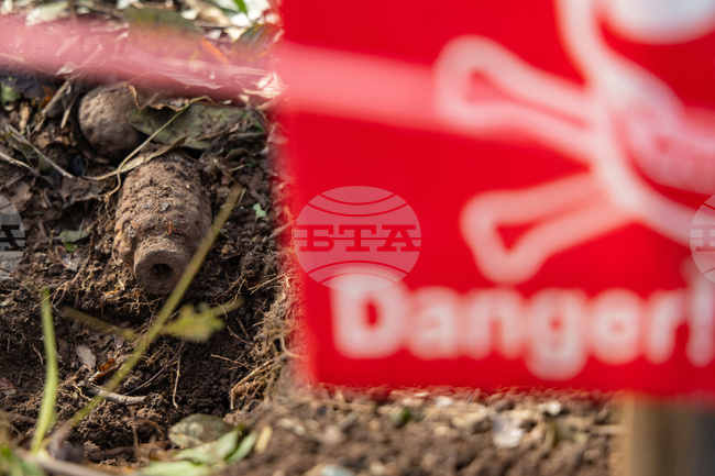 Камбоджа посвети статуя на плъх, който помагал при разминирането на страната