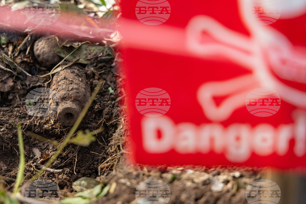 Cambodia Demining Rats Photo Gallery
