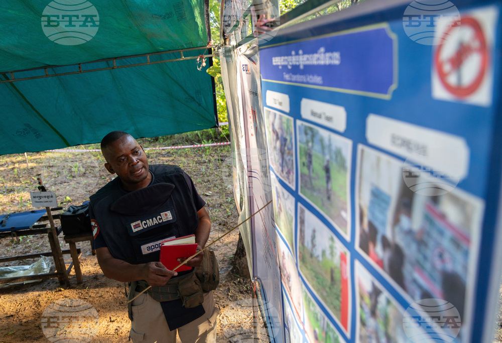 Cambodia Demining Rats Photo Gallery