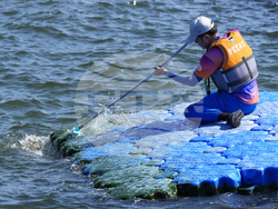 Singapore Swimming Worlds