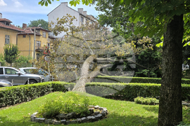 Инцидент - паднало дърво