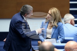 Парламент - заседание