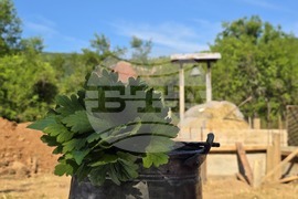 Село Малка Желязна - нов храм - митрополит Гавриил