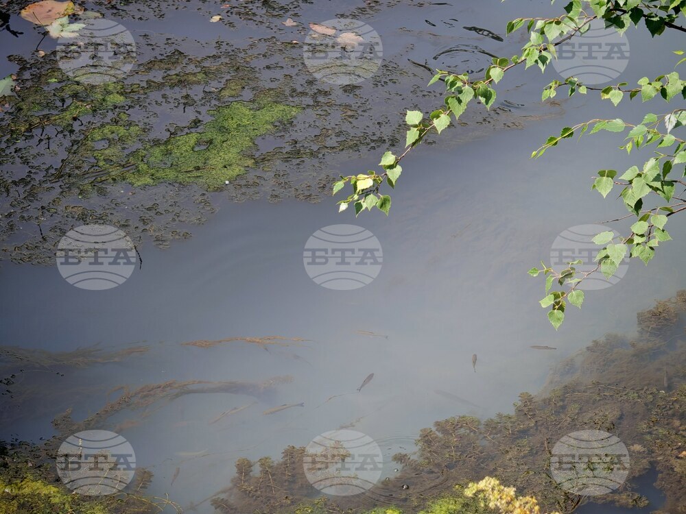 Река Синкевица в центъра на Габрово е с необичаен цвят