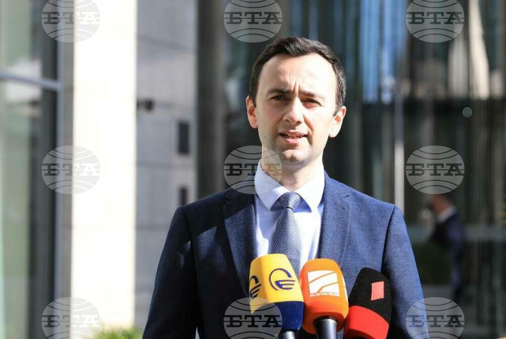 ГПБ: Нямаме намерение Грузия да става пешка на голямата шахматна дъска на Украйна, заяви грузински депутат