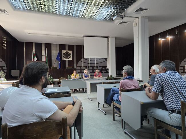 Експерти ще изготвят оценка за консервирането на ствола на Стария бряст в Сливен 