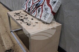 Галерия "Арт 158" - изложба "Да запазим Корал. Безполезни изкопаеми НБУ 2025"