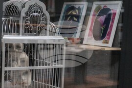 Галерия "Арт 158" - изложба "Да запазим Корал. Безполезни изкопаеми НБУ 2025"