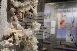 Галерия "Арт 158" - изложба "Да запазим Корал. Безполезни изкопаеми НБУ 2025"