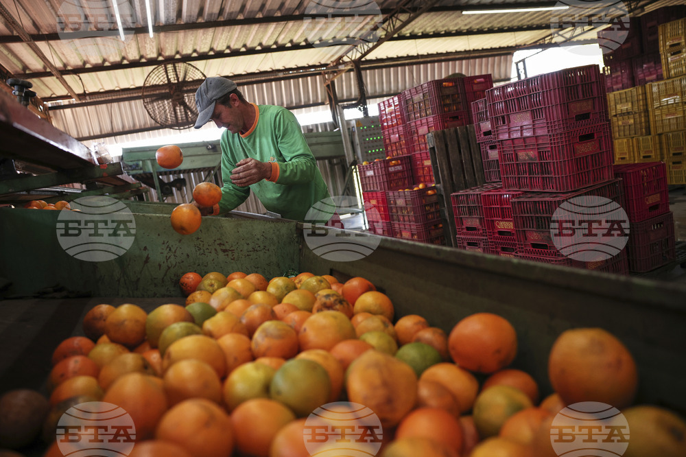 Brazil Trump Tariffs