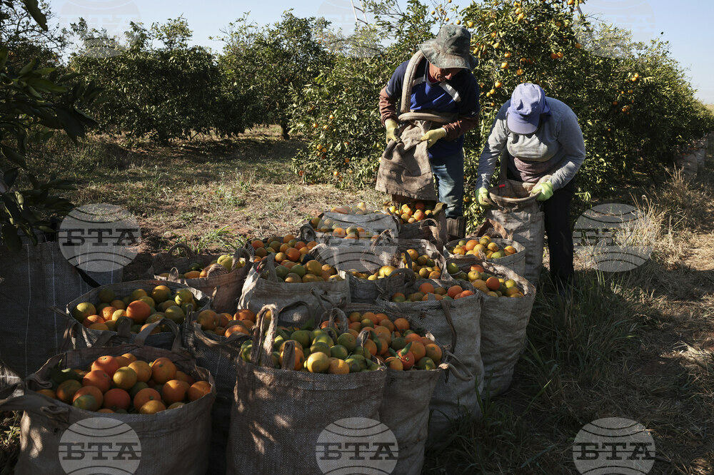 Brazil Trump Tariffs