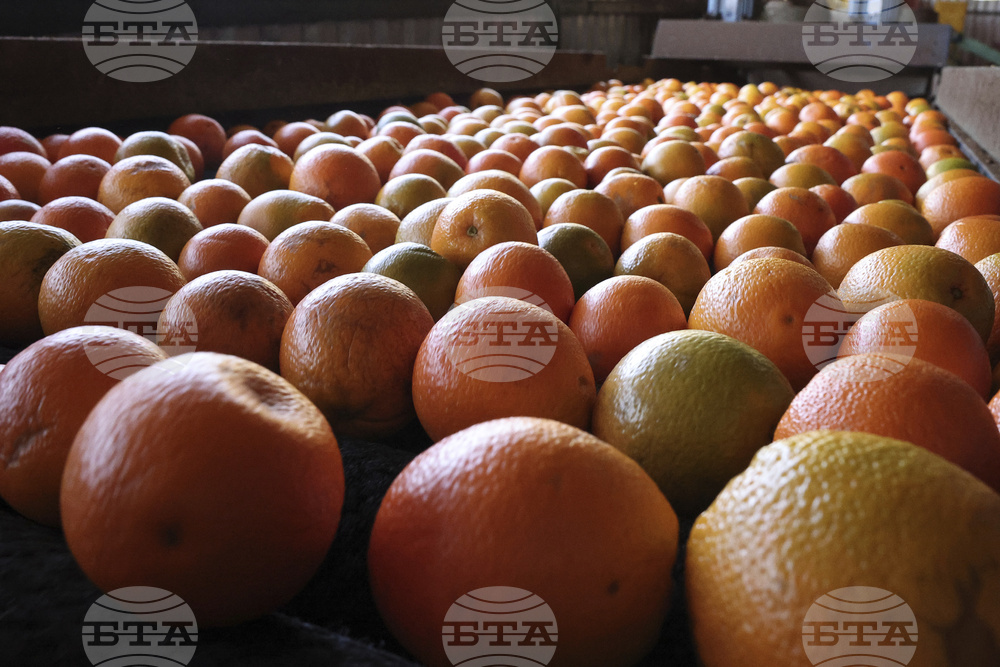 Brazil Trump Tariffs