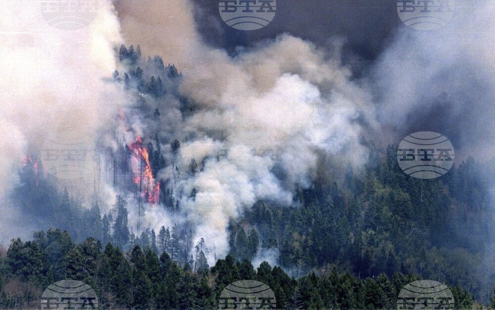 Wildfires Managing Flames