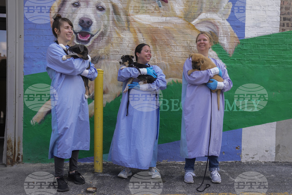 Texas Floods Pet Shelters