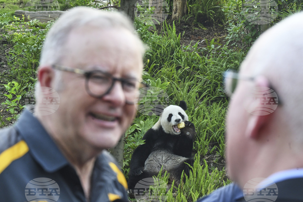 Australia China