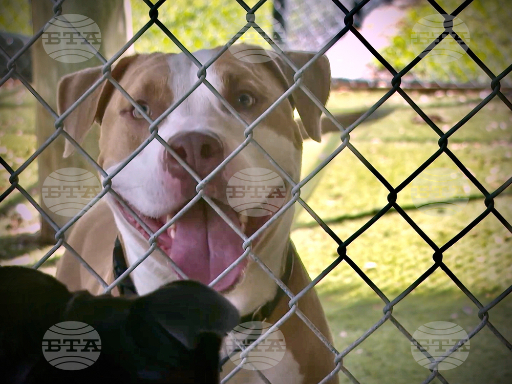 Extreme Heat-Animal Safety