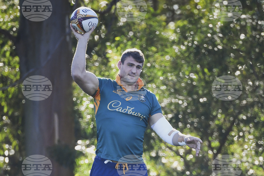Australia Rugby Lions