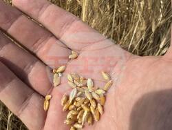 Снимка: Български фермерски съюз