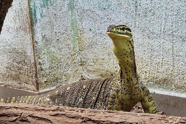 The Weather on July 19-20