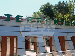 Село Минерални бани - Терариум - колекция от екзотични влечуги