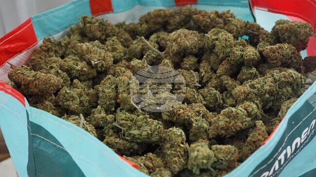 Трима мъже – от Пловдив и Смолян, са арестувани с наркотични вещества