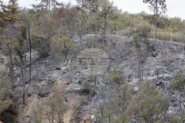 Към момента няма действащи огнища в района на Горно Спанчево, около сто души обхождат териториите, обхванати от пожара