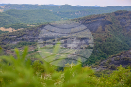 Село Горно Спанчево - горски пожар