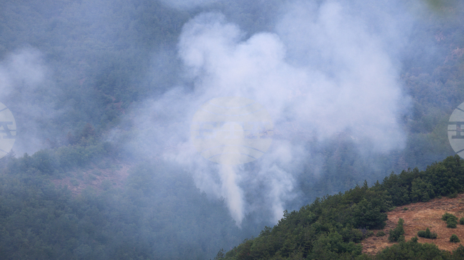 Over 150 Join Efforts to Contain Wildfire Near Ploski in SW Bulgaria