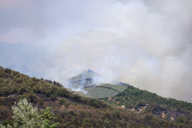 Село Горно Спанчево - горски пожар