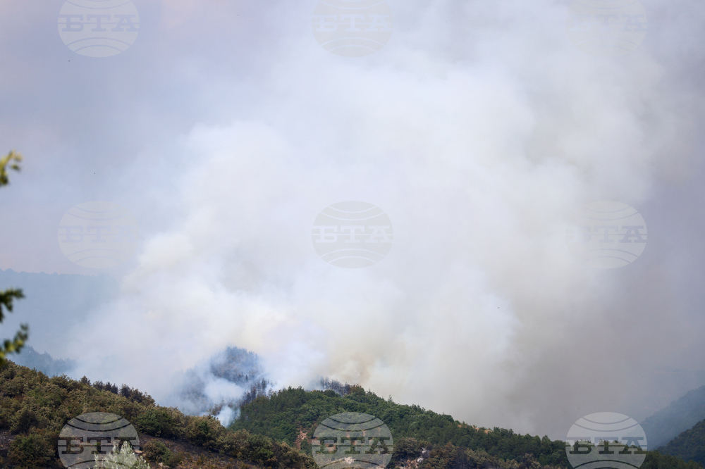 На втория ден с опасно високи температури в Сърбия две министерства излязоха с призив да не се палят стърнищата 