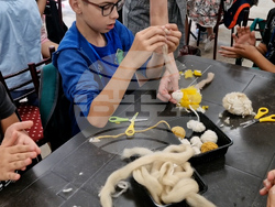 Смолян - „Ваканция в музея“