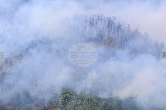 Общо 11 са активните пожари на територията на Албания; в гасенето им участват над 300 военнослужещи 